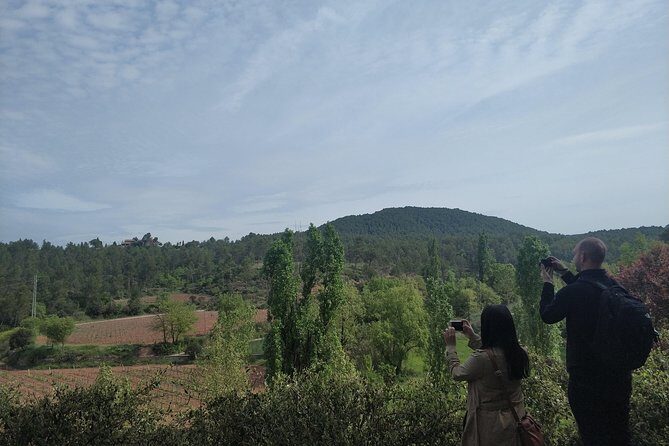 Half Day Private Wine & Oil Tasting Tour near Barcelona with hotel pick up - Learning olive oil after wine: why Vall d’Hortons is the right follow-up