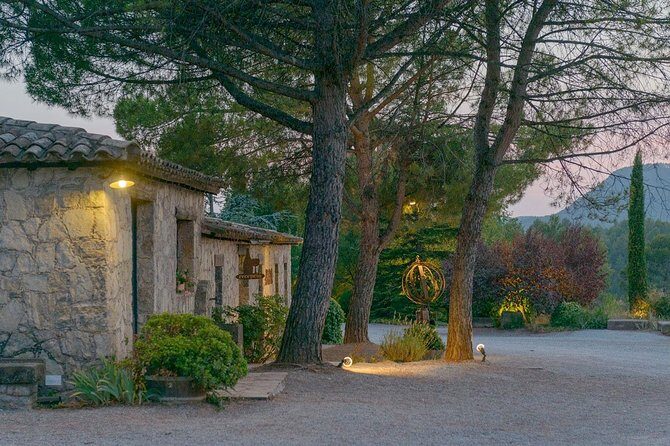 Half Day Private Wine & Oil Tasting Tour near Barcelona with hotel pick up - Stop 1: An organic winery run by one family since 1885