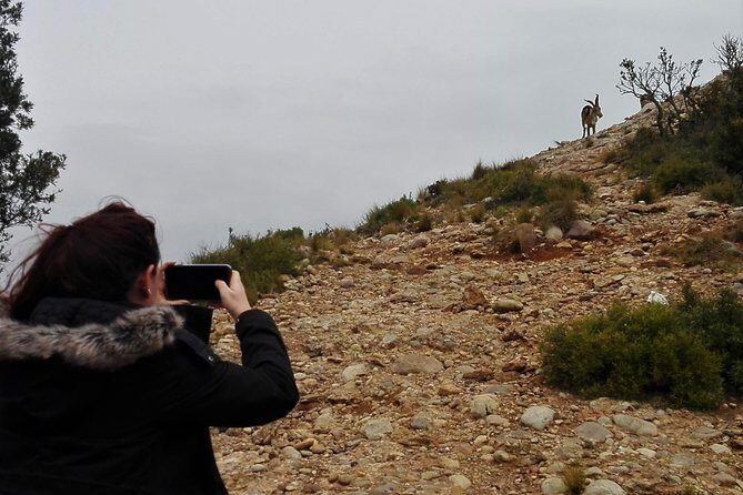 Historical Montserrat Half-Day Hiking Tour from Barcelona - How Hard Is It, Really? Pace, Footing, and a Few Surprise Challenges