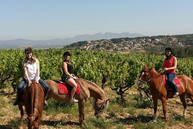 Horseback Ride, Penedes, Wine Tasting & Tapas Private Tour - Key things I’d plan for on this Penedès private tour
