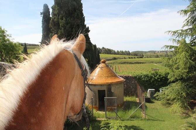 Horseback Ride, Penedes, Wine Tasting & Tapas Private Tour - Pacs del Penedès: your 1-hour horseback ride (no experience required)