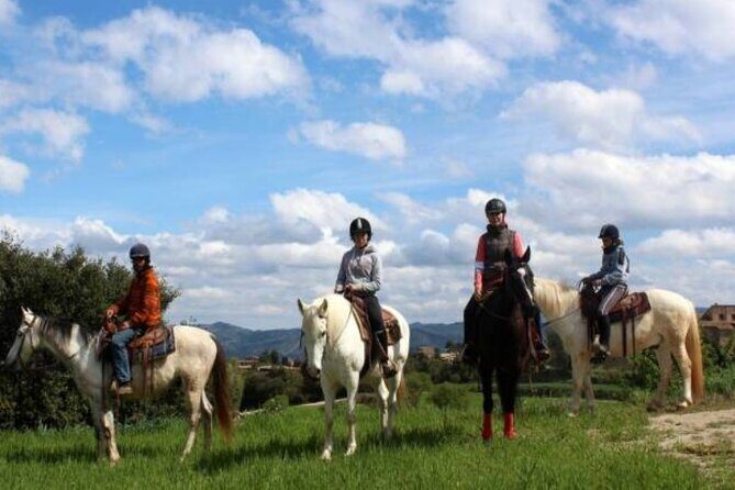 Horseback Riding in Montserrat Mountain Natural Park, Barcelona - 1 to 2 hrs - Key Highlights You’ll Actually Care About