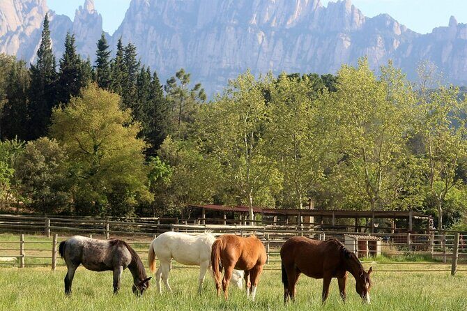 Horseback Riding in Montserrat Mountain Natural Park, Barcelona - 1 to 2 hrs - The Value of $80.44: What You’re Really Paying For