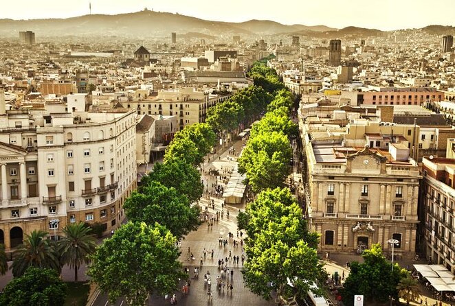 Interactive Paella & Market: Bottomless Wine & Rambla Views - Key highlights at a glance