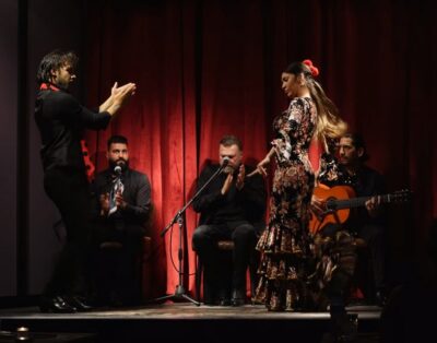 Intimate Authentic Flamenco Show in Barcelona at Casa Sors - Your Flamenco Show: Dance, Singing, Guitar Up Close