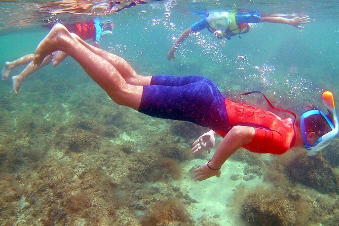 Kayak excursion in Playa de Aro - The rest stop: swimming + snorkeling with masks included