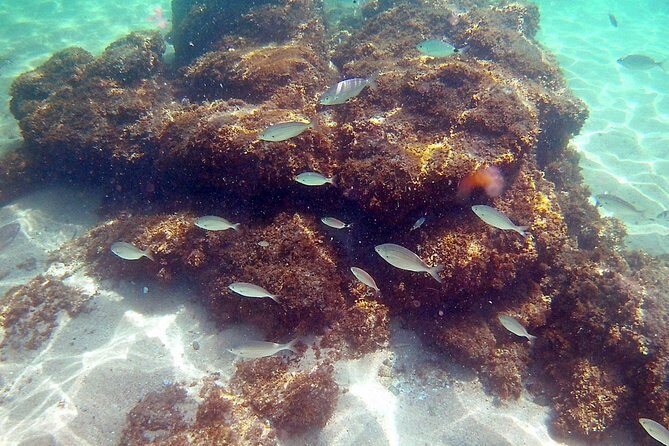 Kayak excursion in Playa de Aro - Who this kayaking + snorkeling trip is best for