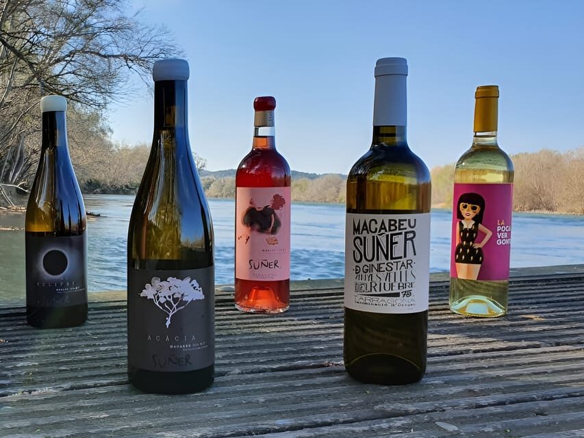 Kayak tour and Wine tasting at the Ebro river - How long is it, and why the timing feels right