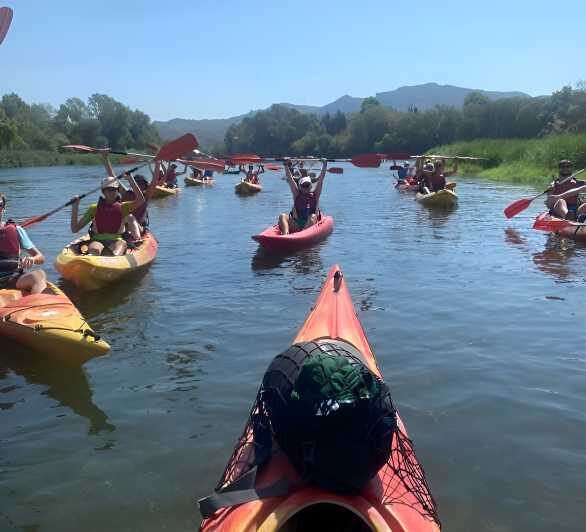 Kayak tour and Wine tasting at the Ebro river - Inside the local cellar in Ginestar: how they produce their wines