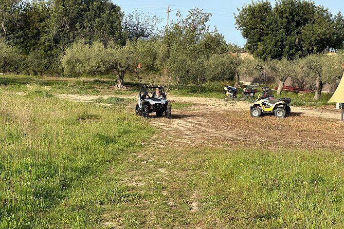 Kids Buggy Experience in Salou - Key points to know before you go