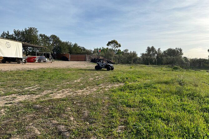 Kids Buggy Experience in Salou - What Happens During the 20 Minutes: From Start to Finished Back at the Point