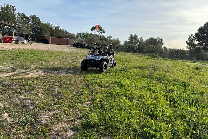 Kids Buggy Experience in Salou - Language, Ticketing, and Small Group Size