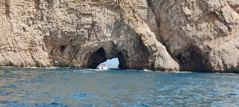 L'Estartit: Costa Brava Boat Trip to Les Illes Medes - Wildlife spotting tips that keep you respectful and successful