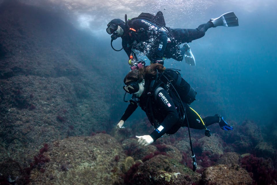 L'Estartit: Dive and Snorkeling in Montgrí Natural Park - Key highlights you’ll actually feel