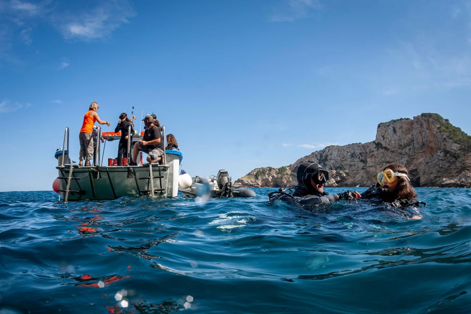 L'Estartit: Dive and Snorkeling in Montgrí Natural Park - Your first scuba try in Montgrí waters: the 20-minute plan that actually makes sense