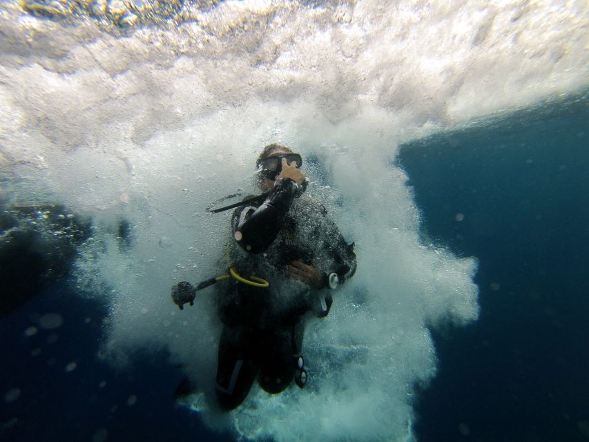 L'Estartit: Dive and Snorkeling in Montgrí Natural Park - What marine life looks like around the protected reserve