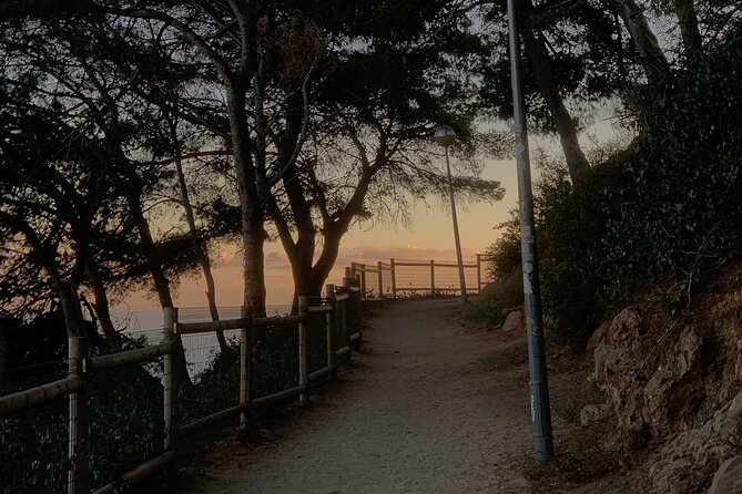 Montjuïc Magic: Hidden Pathways, Vermut Delights & Sunset Bliss - Teatre Grec and your first vermouth: Greek-style setting without the museum ticket