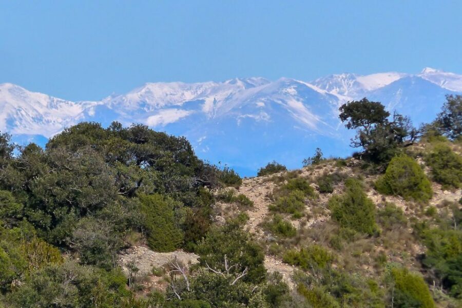 Montserrat: 6-Hour Tour with a Choice of 3 Levels of Hiking - Key Highlights Worth Getting Excited About