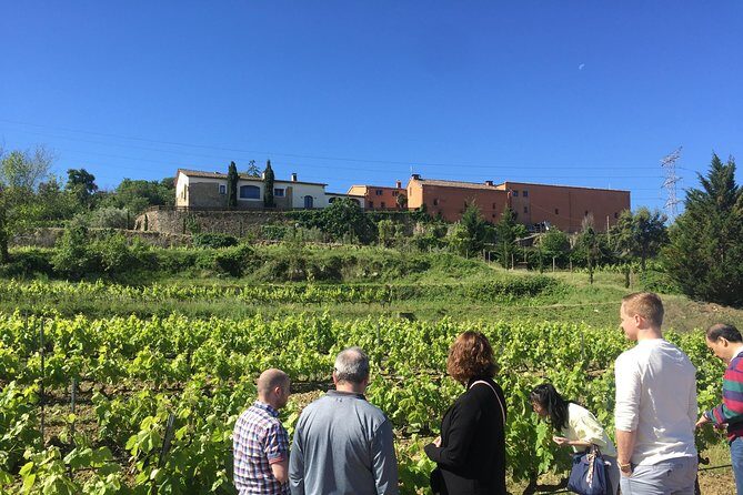 Montserrat & best winery private tour experience with a local expertise - A private day out of Barcelona: Montserrat plus Cava