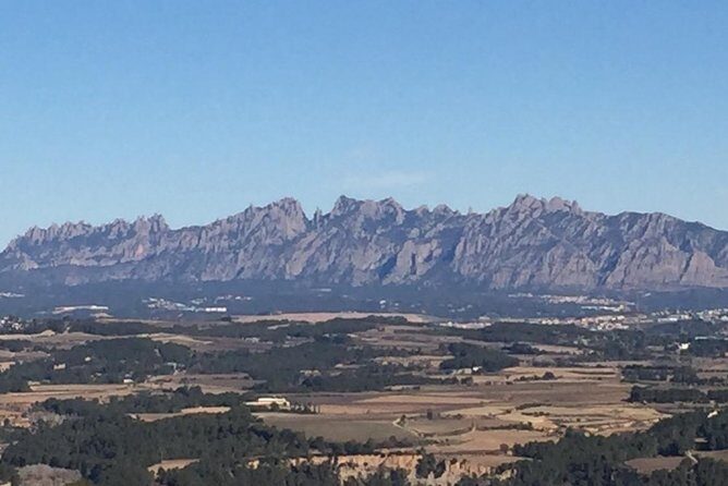 Montserrat & best winery private tour experience with a local expertise - Guide-led flow: why private feels worth it here