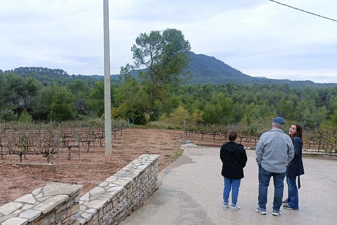 Montserrat & beyond private tour with pickup, tickets & options - Optional winery tastings and farm meals: good add-ons, not required