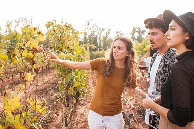 Montserrat & Cogwheel Train, Gourmet Wine Tasting & Tapas/Lunch - Monk-Made Treats and the Black Madonna Detail You Should Know
