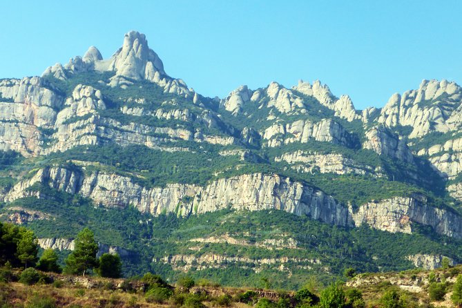 Montserrat Guided Tour with Cogwheel or Cable Car & Black Madonna - How the guide experience makes the day feel personal