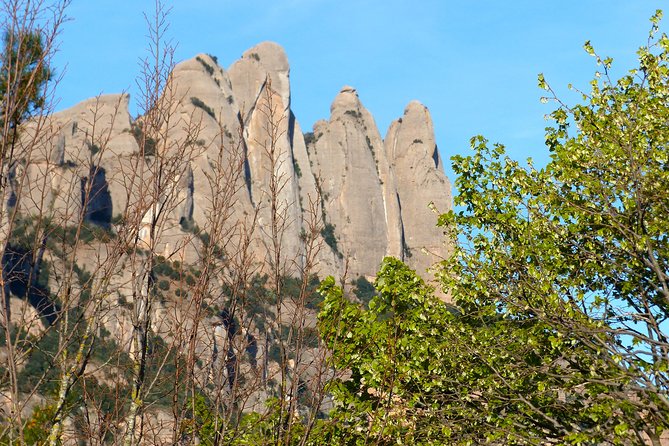 Montserrat Hiking Experience from Barcelona - Snacks and picnic moments: small food wins