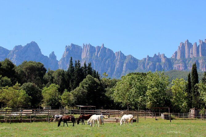 Montserrat Horseback Riding & Monastery – Small Group (Max 8) - Meeting at Pg. de Gràcia and the morning drive