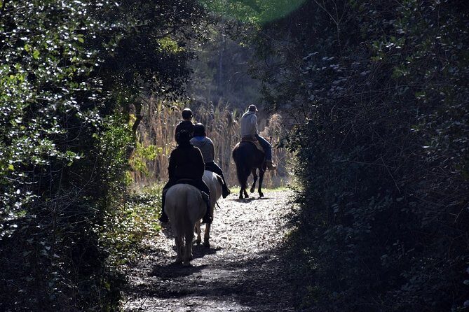 Montserrat Horseback Riding & Monastery – Small Group (Max 8) - Horseback riding on the hillside: what the timing really means