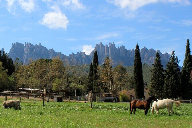 Montserrat Horseback Riding & Monastery – Small Group (Max 8) - Return to Barcelona and your lunch window