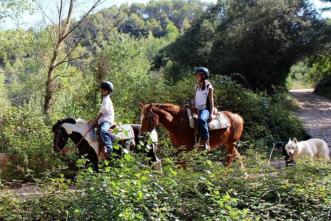 Montserrat Horseback Riding & Monastery – Small Group (Max 8) - Natural Park views and the optional walk