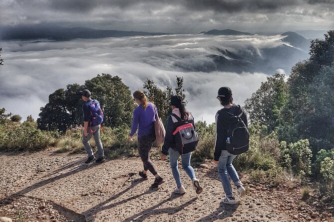 Montserrat Nature Experience, Monastery and Museum - Price and value: what your $90.11 is really buying
