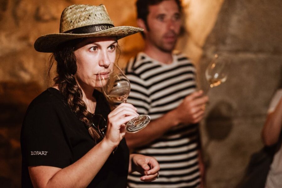 Montserrat Private Day Trip & Codorniu Cava Cellar Tasting - Who should book this Montserrat and Codorníu private day