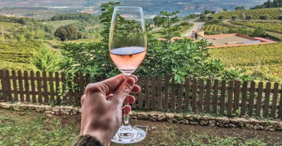 Montserrat Private Day Trip & Codorniu Cava Cellar Tasting - The cava tasting: two premium pours, one Catalan production story