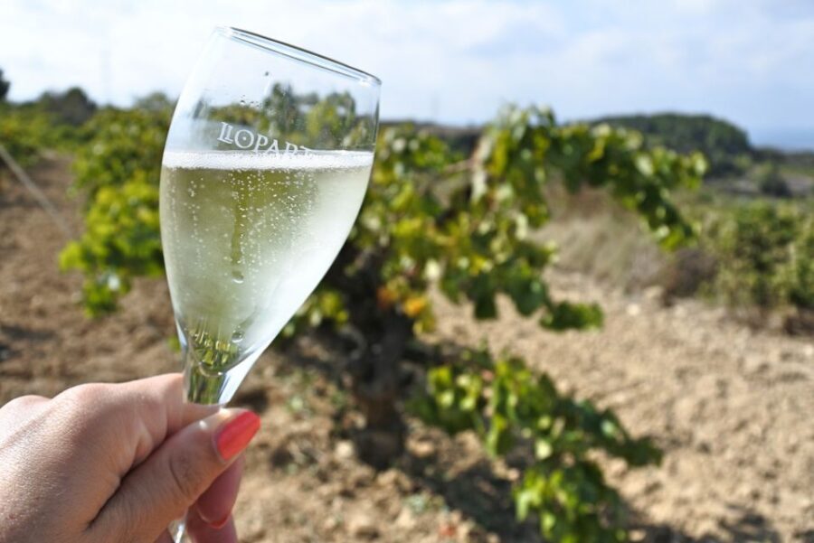 Montserrat Private Day Trip & Codorniu Cava Cellar Tasting - The Black Madonna and the Basilica: what you’re actually seeing