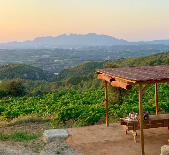Montserrat Private Day Trip & Codorniu Cava Cellar Tasting - Price and value: what $350 per person buys you