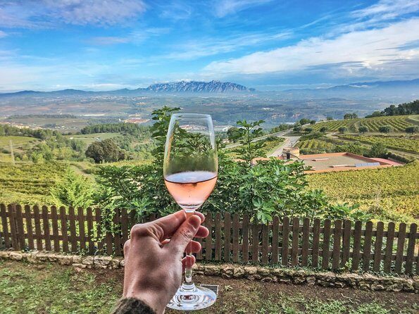 Montserrat Private Day Trip with Codorniu Cava Cellar Tasting - Hotel pickup and a private schedule that actually works