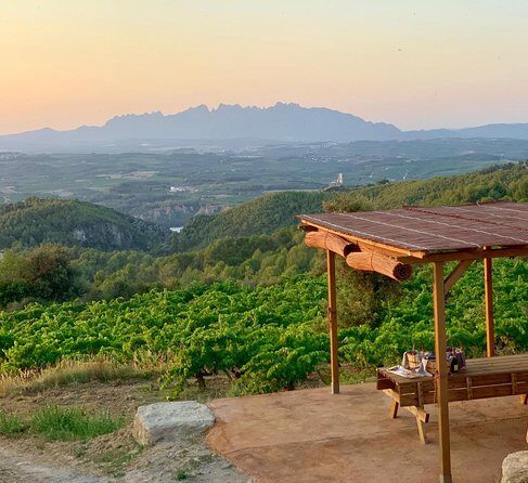 Montserrat Private Day Trip with Codorniu Cava Cellar Tasting - Price and value: why this private trip costs what it costs