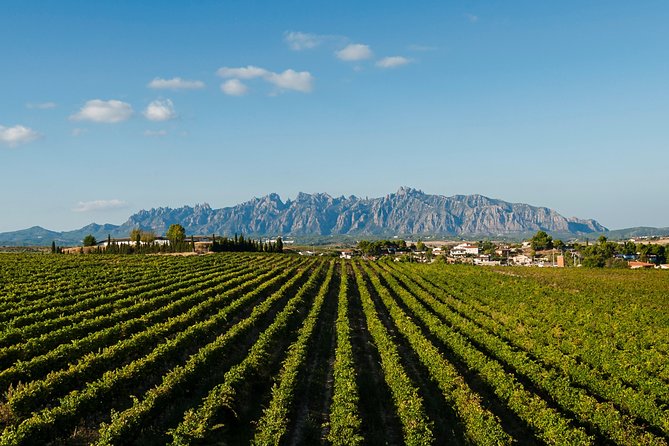 Montserrat,Vineyard, Wine Tasting Small Group Tour & Hotel Pickup - Stop Four: Funicular de Sant Joan for Higher Views (Optional)
