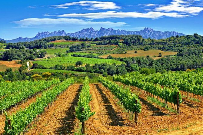 Montserrat,Vineyard, Wine Tasting Small Group Tour & Hotel Pickup - Stop Five: Sant Jeroni Peak Viewpoint