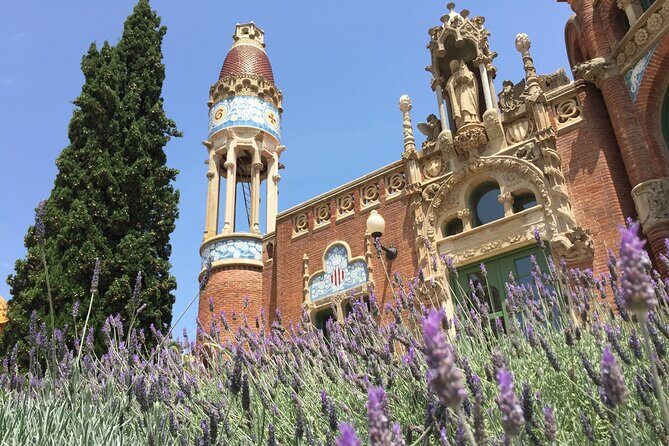 Online Experience: Zoom around panoramic Barcelona - Price and value: what $53 covers for this virtual route
