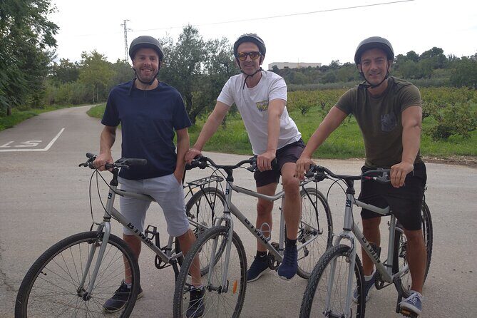 Paella Class, Winery & Bike Ride - Free Hotel Pickup from Sitges - The cycle through the countryside: easy effort, good views
