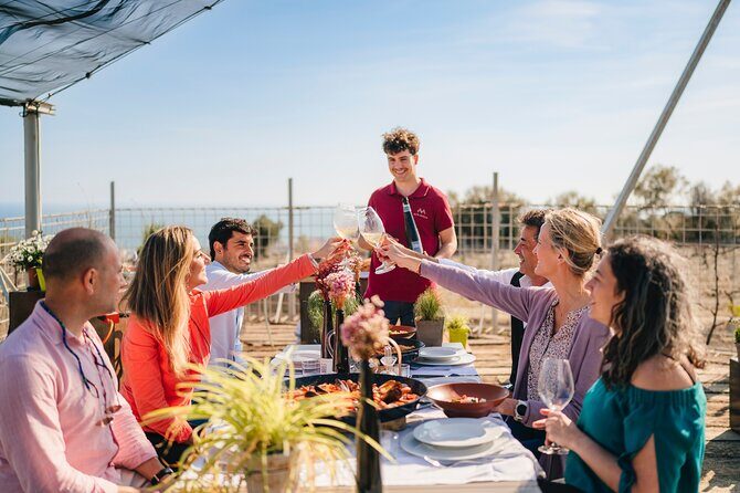 Paella Cooking Experience & Winery Tour from Barcelona - A half-day in Barcelona that actually makes sense