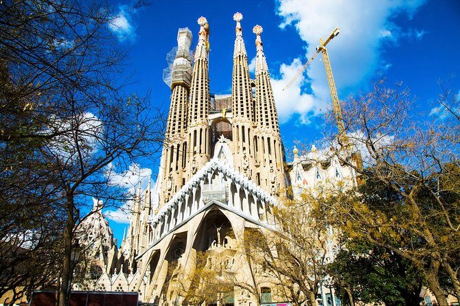 Park Guell and Sagrada Familia Private Tour - A Private 3.5-Hour Gaudí Double You Can Actually Follow