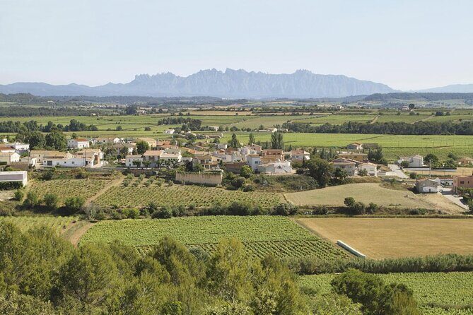Penedes and Cava Winery Small Group Tour - Key things worth knowing before you go
