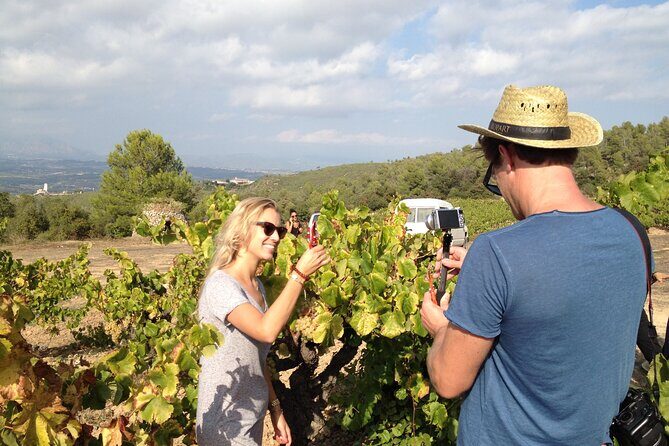 Penedes and Cava Winery Small Group Tour - Getting out of Barcelona: private pickup and a straightforward start