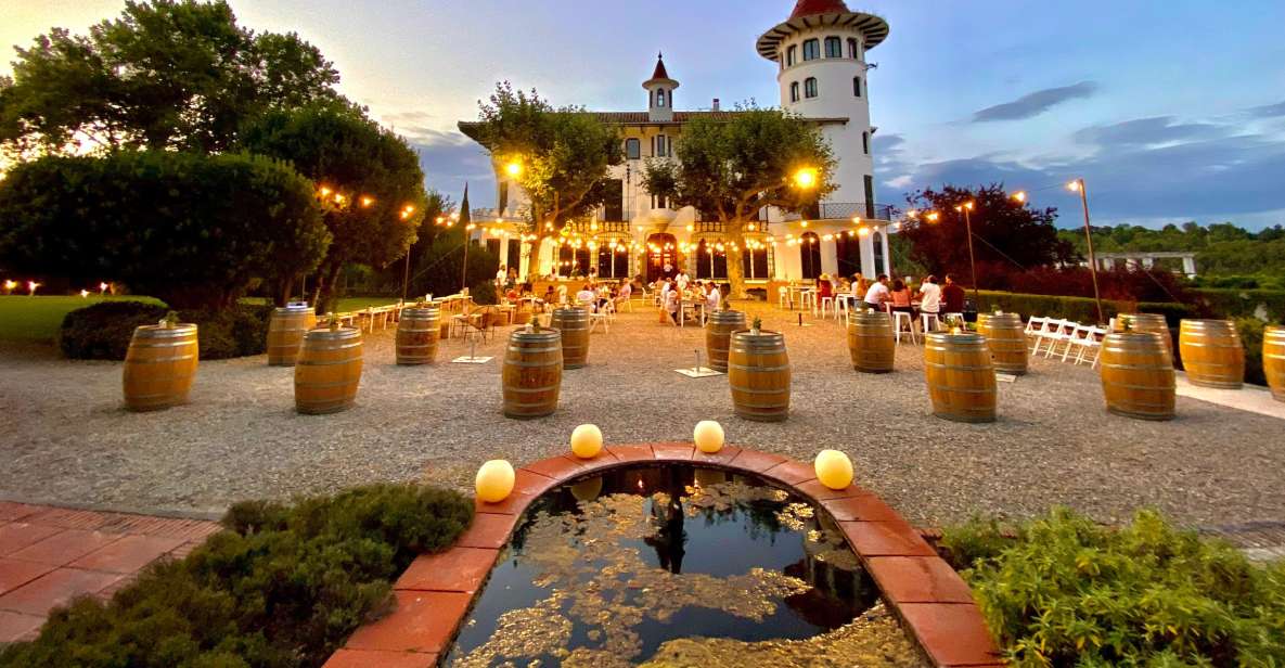 Penedès: Discovery Tour with Cava Tasting - Codorníu in Penedès: why this cava tour works so well