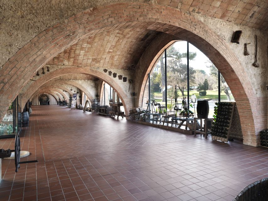Penedès: Discovery Tour with Cava Tasting - Should you book the Penedès Codorníu Discovery Tour with cava tasting?