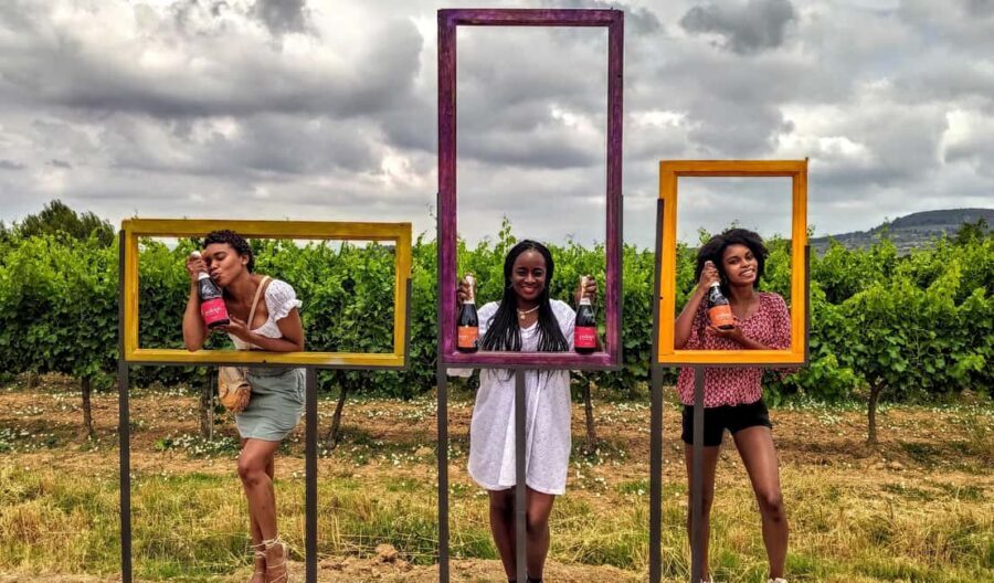 Penedès Vine to Wine: Personalized Cava taste&craft Workshop - Key highlights to look for
